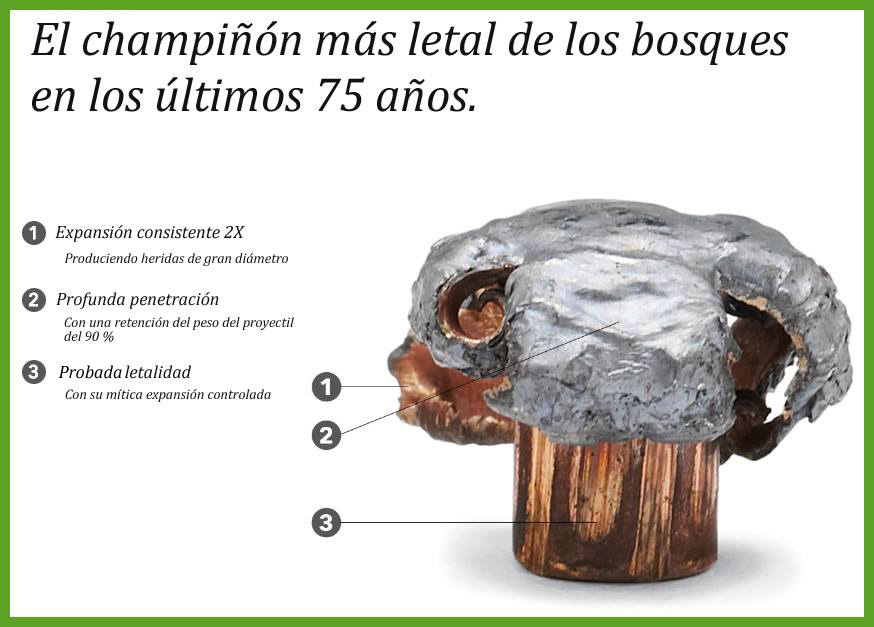 Munición CORE-LOKT el champiñón más letal del bosque